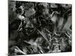 Premium Photographic Print