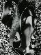 Premium Photographic Print