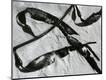 Photographic Print