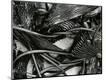 Photographic Print