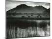 Photographic Print