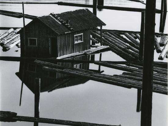 Photographic Print, , large