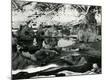 Photographic Print