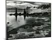 Photographic Print