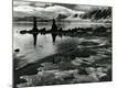 Premium Photographic Print