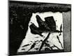 Photographic Print