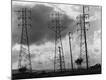Photographic Print