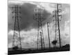 Photographic Print