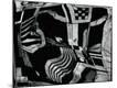 Premium Photographic Print