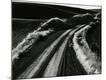 Photographic Print