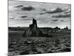 Photographic Print