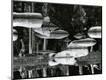 Photographic Print