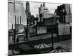 Premium Photographic Print