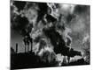 Premium Photographic Print