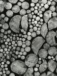 Stacked Wood, c.1970-Brett Weston-Framed Photographic Print