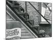 Premium Photographic Print