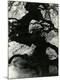 Premium Photographic Print