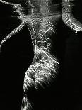 Underwater Nude, c.1980-Brett Weston-Photographic Print