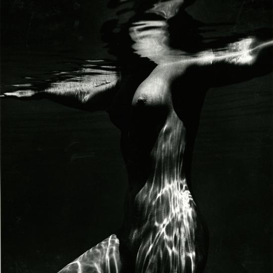 Photographic Print, , large