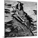 Premium Photographic Print