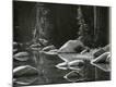 Photographic Print