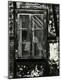 Photographic Print