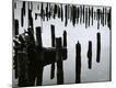 Photographic Print