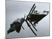 Premium Photographic Print