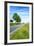 Breuberg, Hesse, Germany, Country Road in Spring-Bernd Wittelsbach-Framed Photographic Print