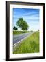Breuberg, Hesse, Germany, Country Road in Spring-Bernd Wittelsbach-Framed Photographic Print
