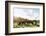 Breuberg, Hessen, Porsche Diesel 308 Super-Bernd Wittelsbach-Framed Photographic Print