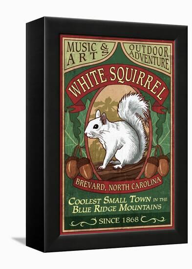 Brevard, North Carolina - White Squirrel-Lantern Press-Framed Stretched Canvas