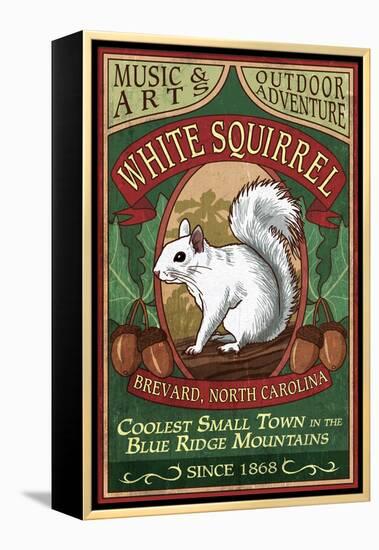 Brevard, North Carolina - White Squirrel-Lantern Press-Framed Stretched Canvas