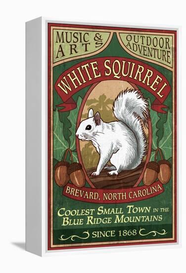 Brevard, North Carolina - White Squirrel-Lantern Press-Framed Stretched Canvas
