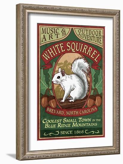 Brevard, North Carolina - White Squirrel-Lantern Press-Framed Art Print