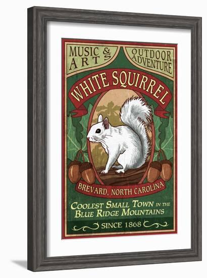 Brevard, North Carolina - White Squirrel-Lantern Press-Framed Art Print