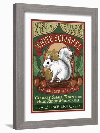 Brevard, North Carolina - White Squirrel-Lantern Press-Framed Art Print