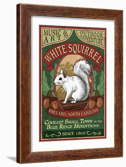 Brevard, North Carolina - White Squirrel-Lantern Press-Framed Art Print