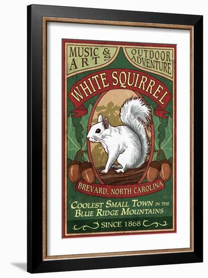 Brevard, North Carolina - White Squirrel-Lantern Press-Framed Art Print