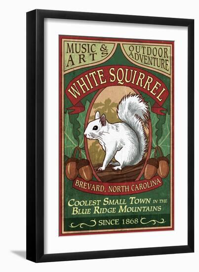 Brevard, North Carolina - White Squirrel-Lantern Press-Framed Art Print