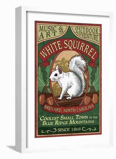 Brevard, North Carolina - White Squirrel-Lantern Press-Framed Art Print