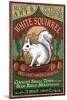 Brevard, North Carolina - White Squirrel-Lantern Press-Mounted Art Print