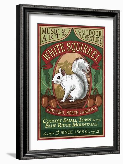 Brevard, North Carolina - White Squirrel-Lantern Press-Framed Art Print