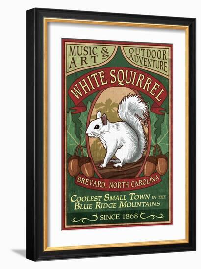 Brevard, North Carolina - White Squirrel-Lantern Press-Framed Art Print