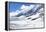 Brewsters Snocoach Driving-Neale Clark-Framed Premier Image Canvas