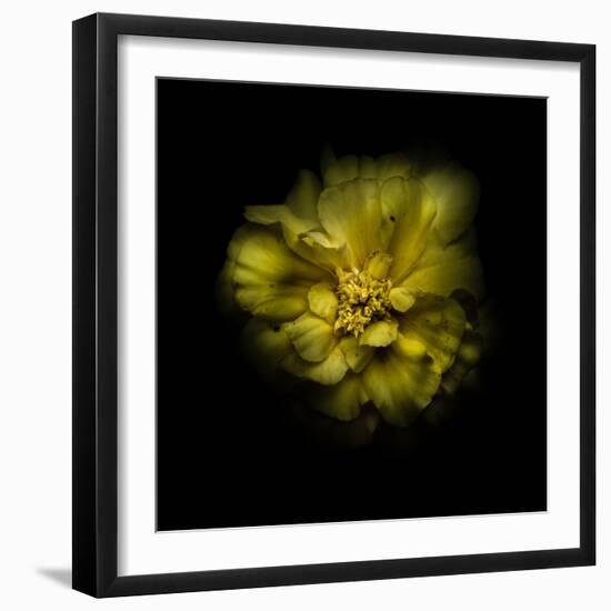 Photo, , large