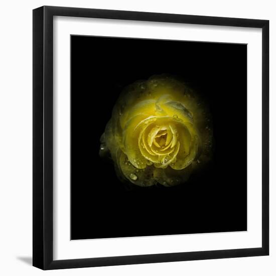 Photo, , large