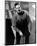 Brian Epstein-null-Mounted Photo