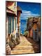 Premium Giclee Print