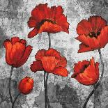 Red Irises-Brian Francis-Art Print